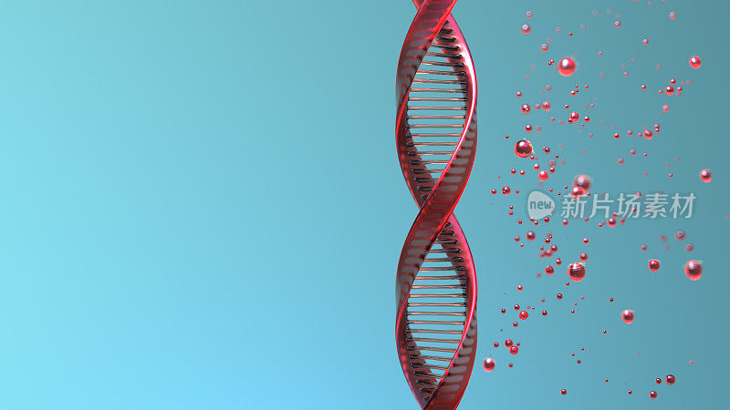 摘要Dna结构。科学研究