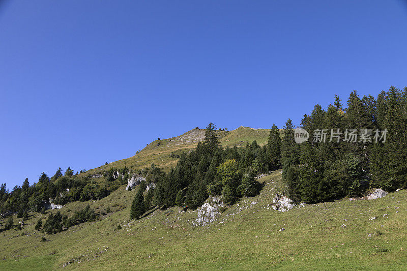 从瑞士施维茨的斯图斯村看到的阿尔卑斯山脉