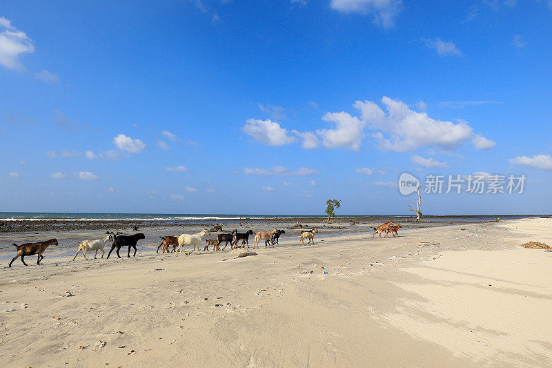 亚齐美丽海滩的全景