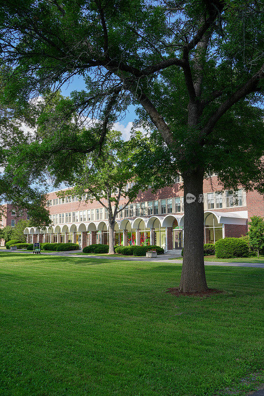 缅因大学