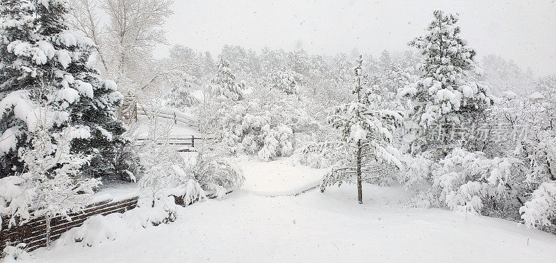 在科罗拉多州中部，在美国西部的北美春季暴风雪冬季场景