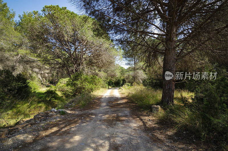 伊比沙岛的乡村公路