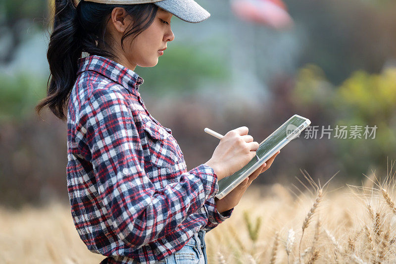 男农民拿着ipad和笔在农场里用现代技术检测大麦的质量，技术概念