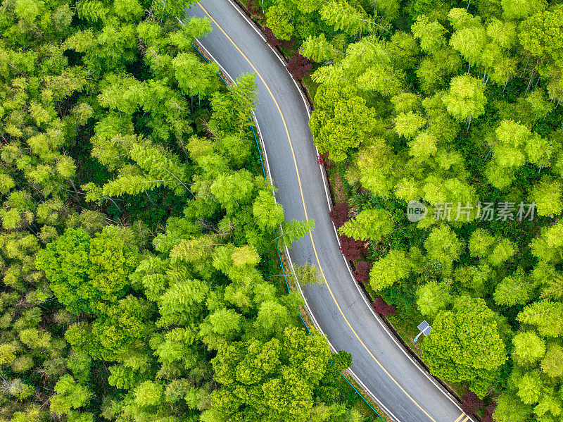 翠绿的竹林和蜿蜒的山路一览无余