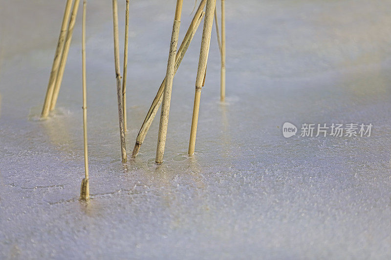 冬天已经