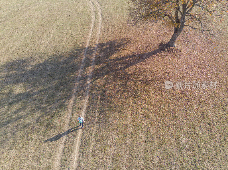 成年男子徒步旅行在美丽的自然在日落阳光明媚的印度夏秋日。鸟瞰图。