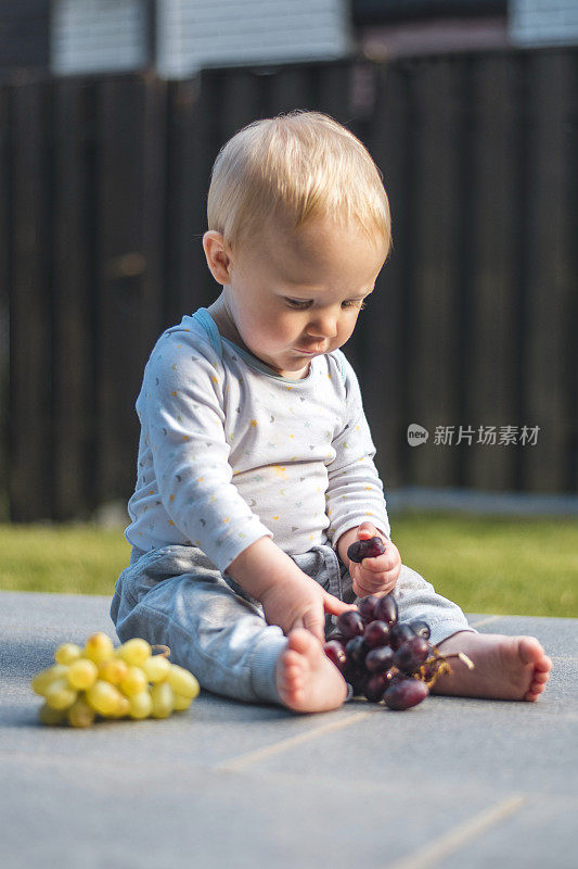 可爱的白人男婴在后院检查一串串的葡萄