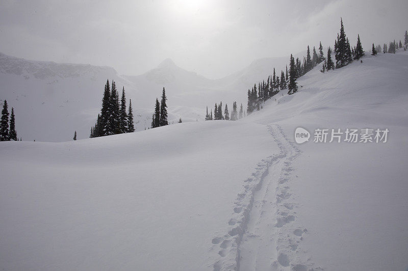 雪山和山脉的风景