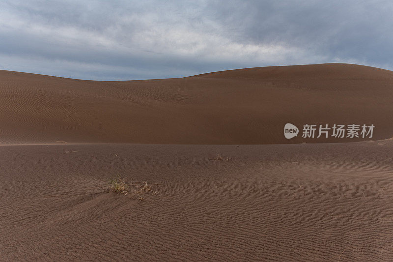 在伊朗沙漠