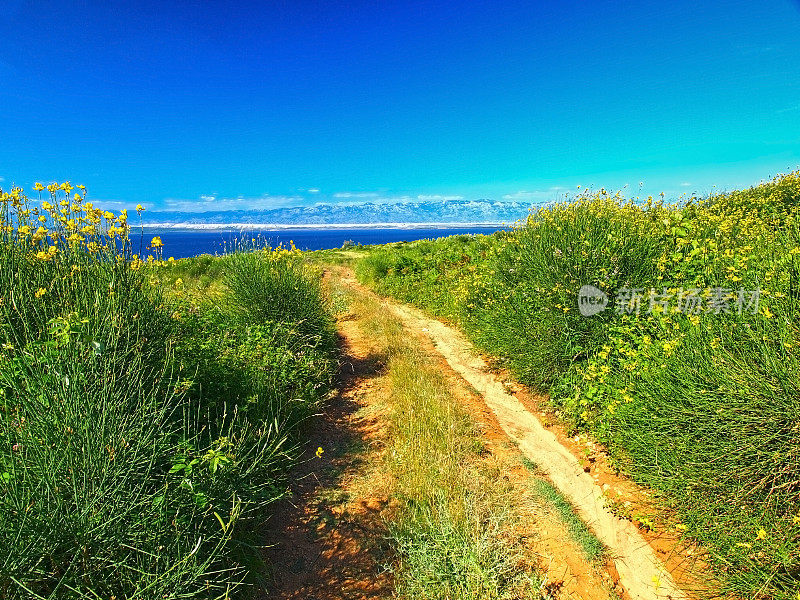 沿海通道