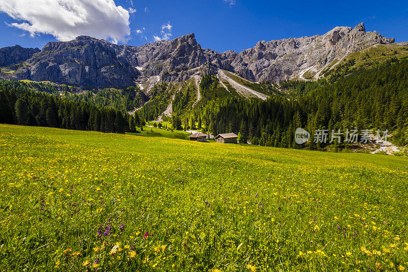 谷仓在田园诗般的阿尔卑斯风景-瓦尔迪富内斯，白云石阿尔卑斯-意大利