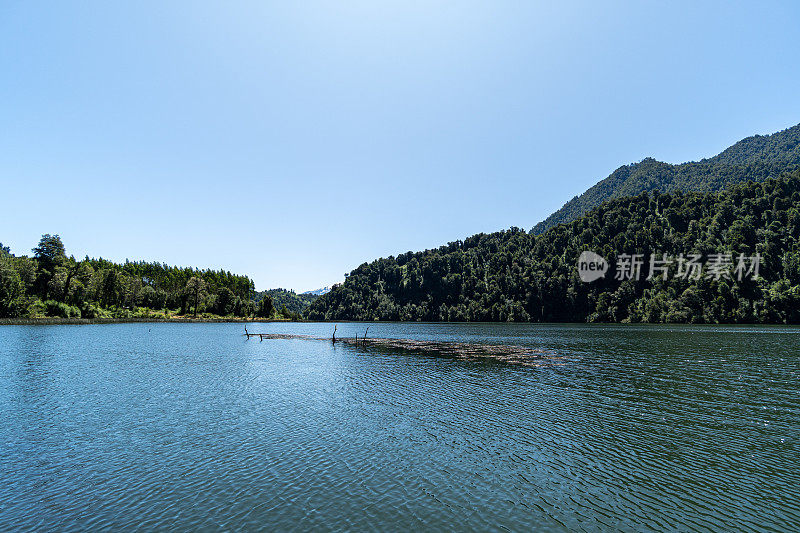 智利南部的帕塔斯湖