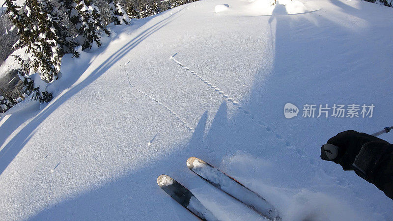 第一人称视角POV背国家滑雪下山高山斜坡