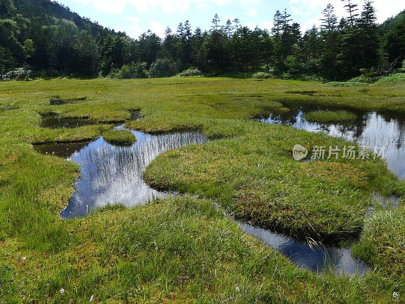 志贺高地(日本上心越国家公园志贺山)