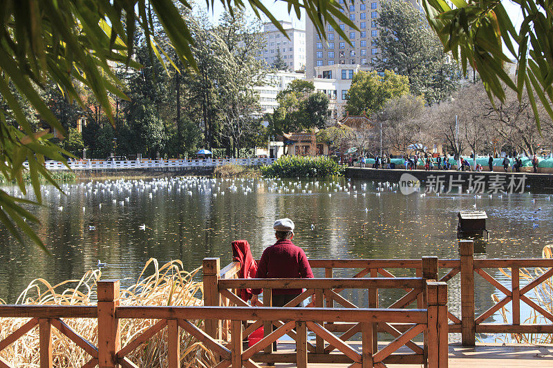 老人在云南昆明的绿湖公园休息