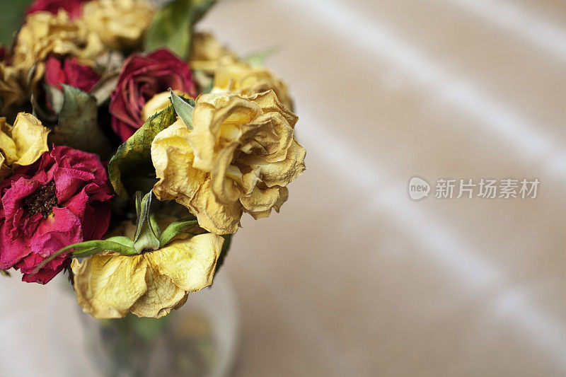 花束死玫瑰花瓶上的硬木纹理与复制空间