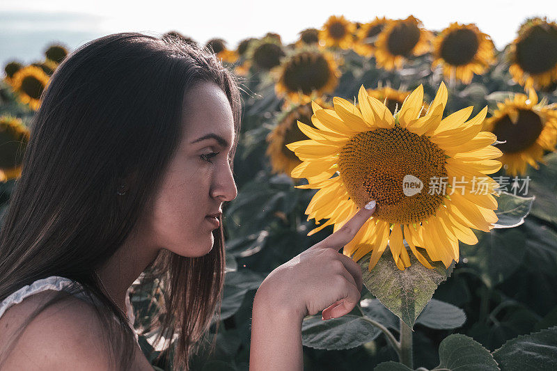 青少年的精神。一个年轻女孩的肖像，触摸向日葵在一个大的田野在夏天。旅行和享受。生态旅游。