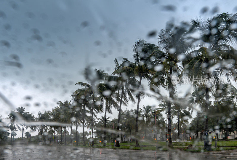 热带雨