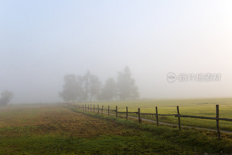 清晨薄雾中的草地和田野