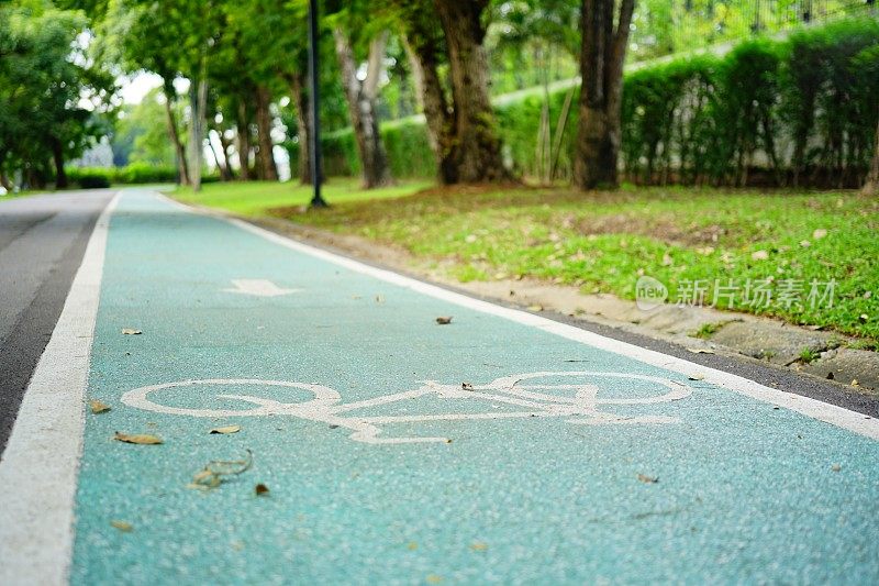 绿色的自行车道路