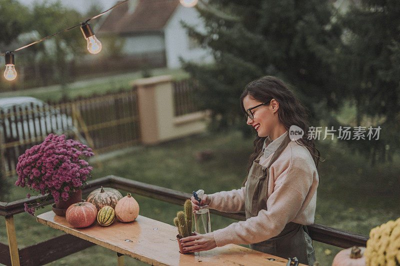 美丽的女性花商照顾仙人掌