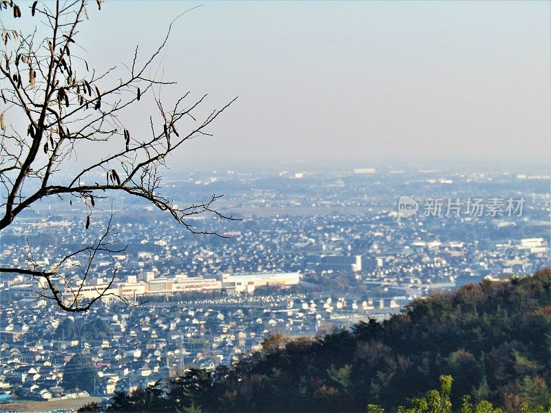 日本。12月。大田市的全景从邻居的山。