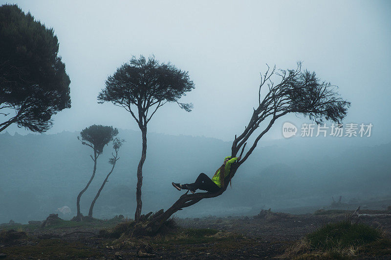 在乞力马扎罗山地区，一个女人的剪影坐在树上