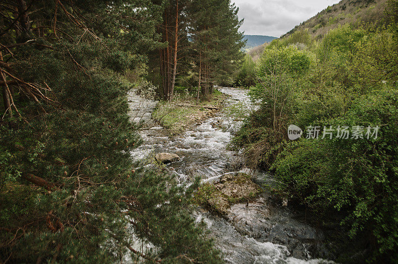 森林地区两条河流汇合