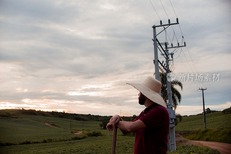 坎波马格罗，Paraná，巴西-男子看着他的种植园。