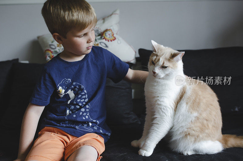 小男孩和他的猫