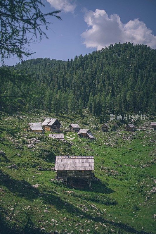 草地上农舍的风景