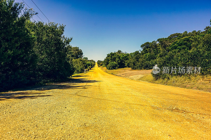 大海路上一条通往海滩的干燥道路。