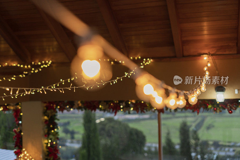 圣诞节装饰的一个房子的客厅