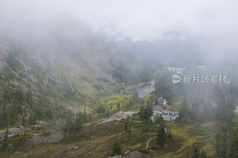 雾天希瑟草地的风景