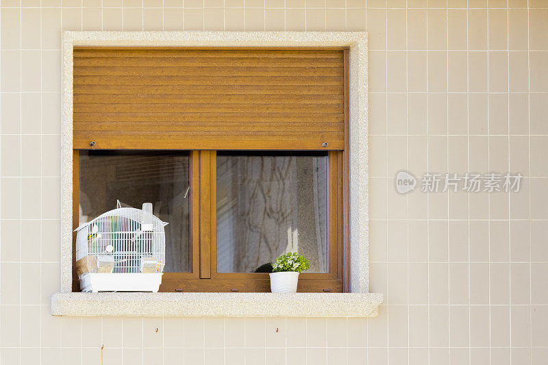 窗户，花盆和里面有金丝雀的鸟笼。