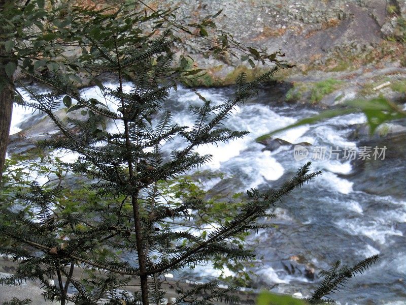 日本。11月。枥木县的山间河流非常湍急。