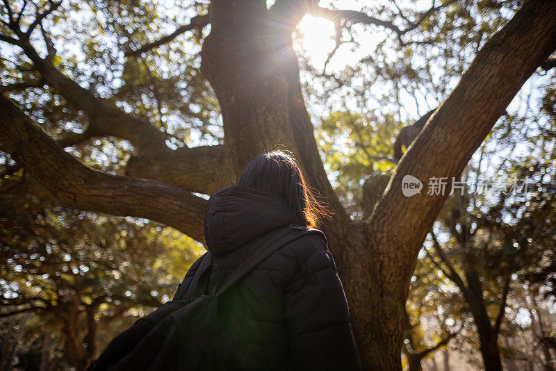 一个女生放学后去公园，抬头看风景