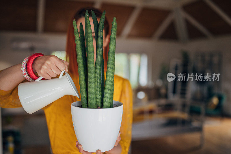 给植物浇水的红发女人