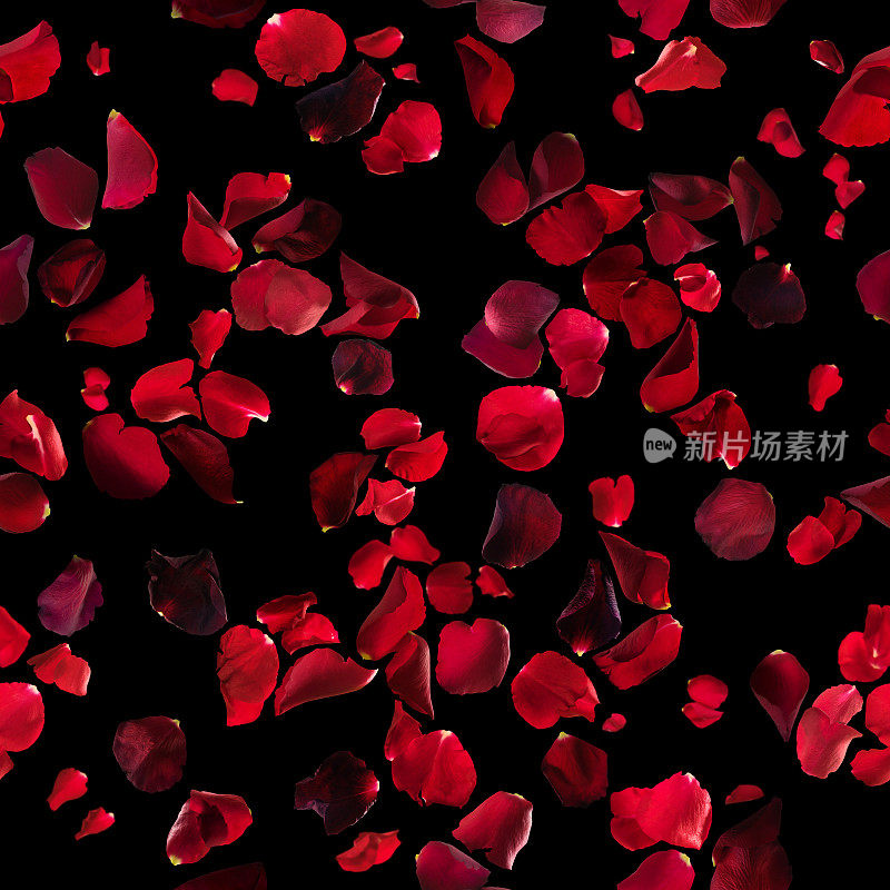 红色玫瑰花瓣纹理上的黑色