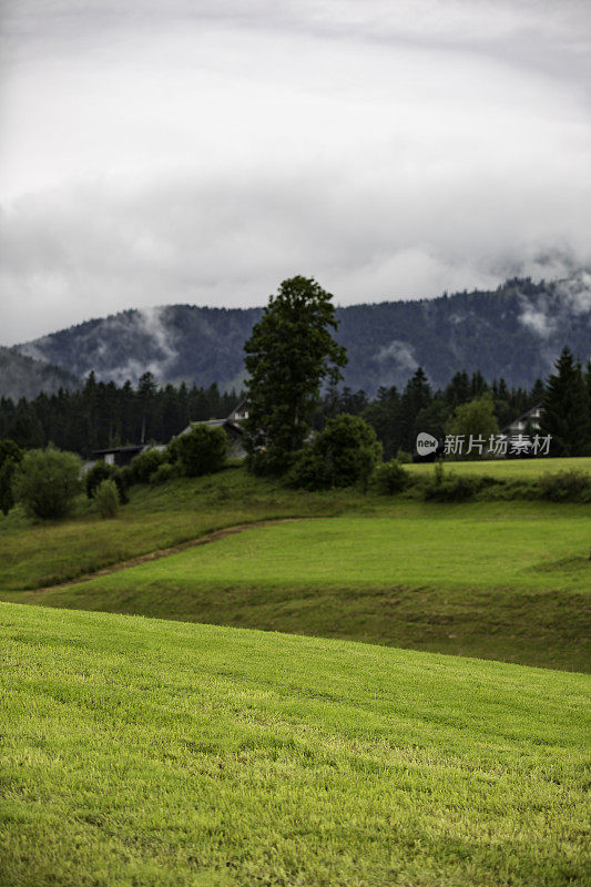 云中阿尔卑斯山山脉的全景