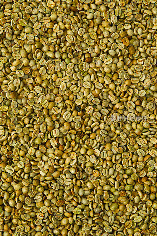 全框的生绿咖啡豆