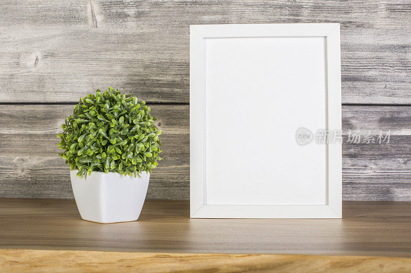 空白白色框架和植物
