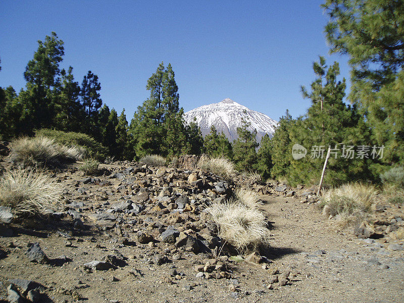 西班牙特内里费岛的泰德火山