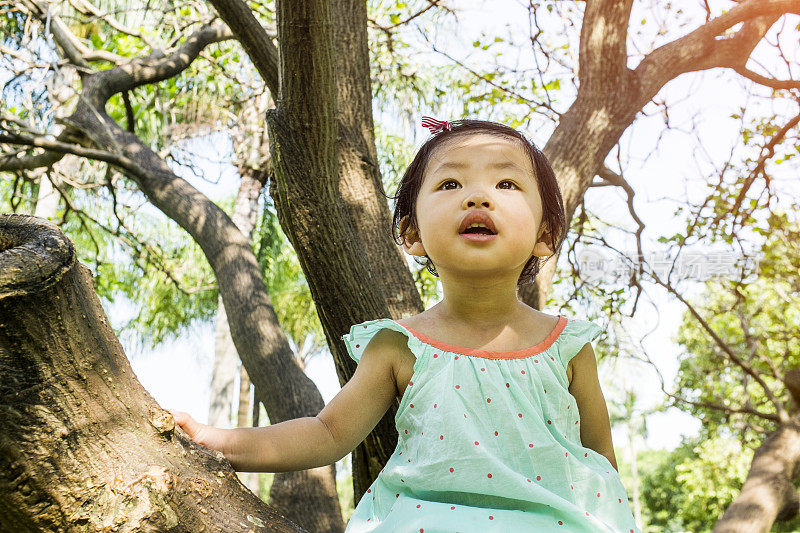 孩子们在公园里玩