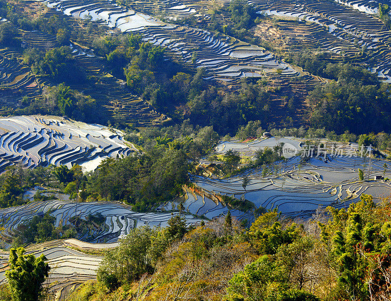 元阳梯田