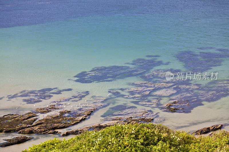 英国德文郡海岸的沙滩上有清澈的海水