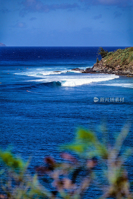 在檀香山湾冲浪