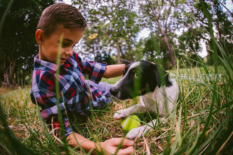 小孩在草地上玩小狗和球