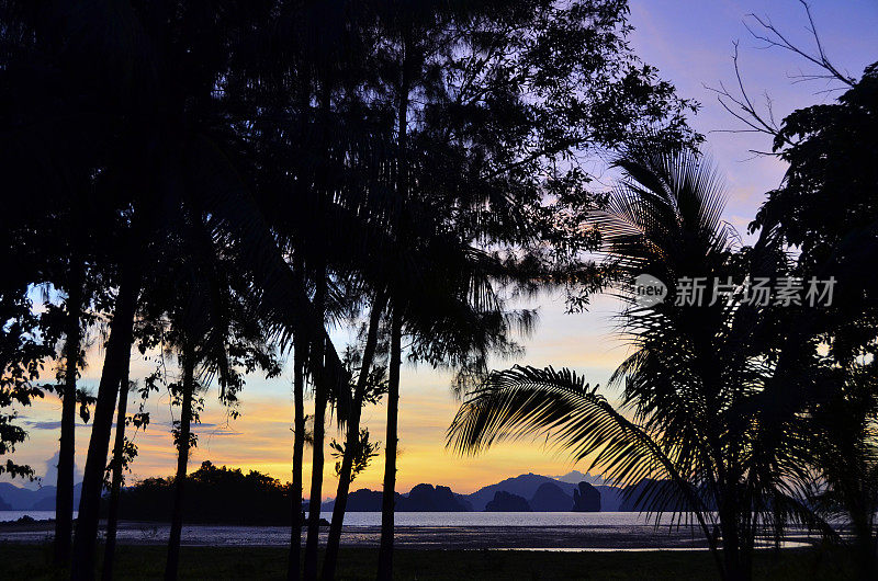 夕阳西下湖边树木的剪影