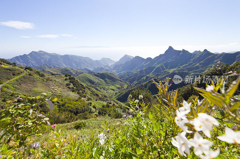 特内里费，加那利群岛，阿纳加山脉，西班牙